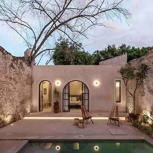 Newly Restored House “casa Lohr” With Private Pool Mérida