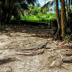 @ Mestiza, 307b Сasa de vacaciones Tulum