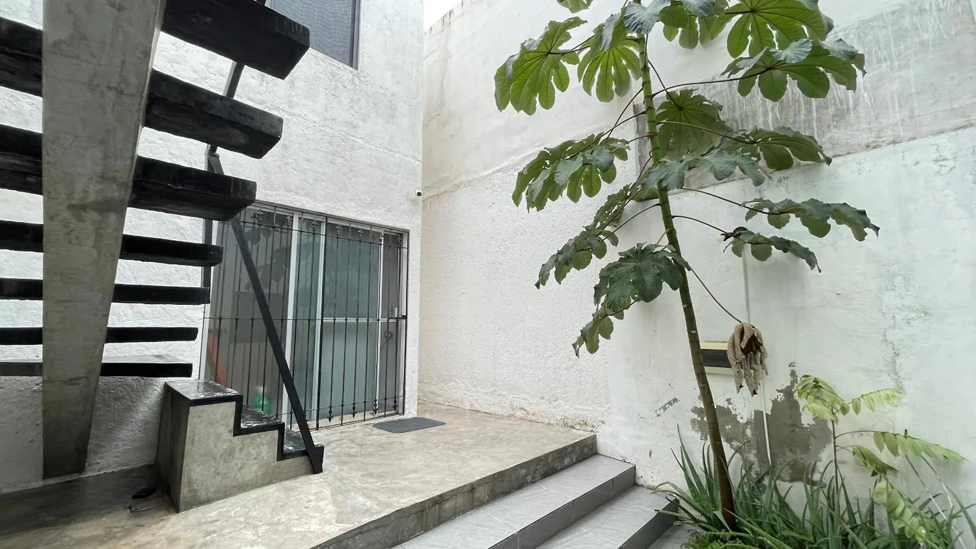 Casa Y Departamentos Lavanda Mérida 0*,  México